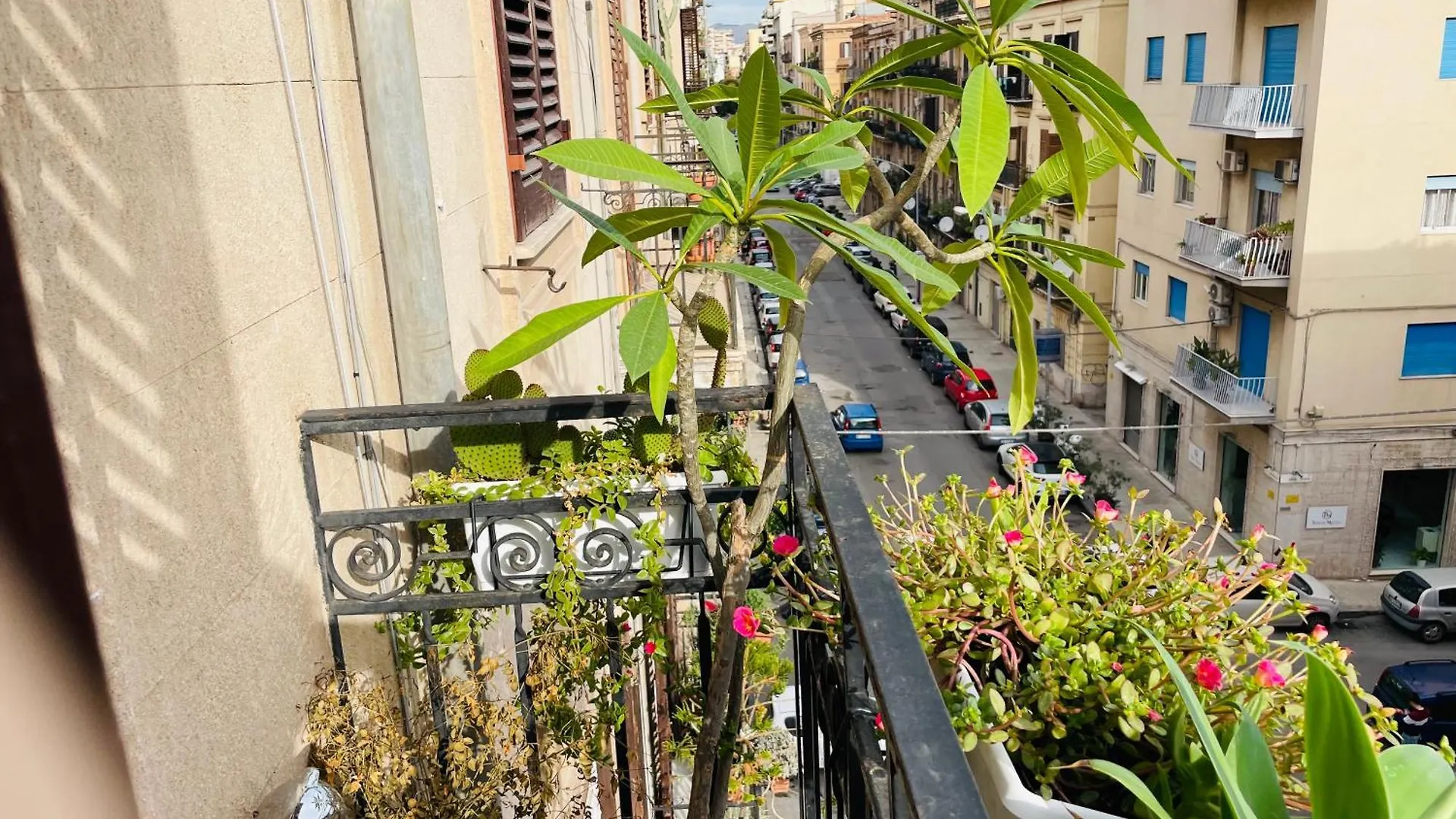 Appartamento Funky Flat Palermo